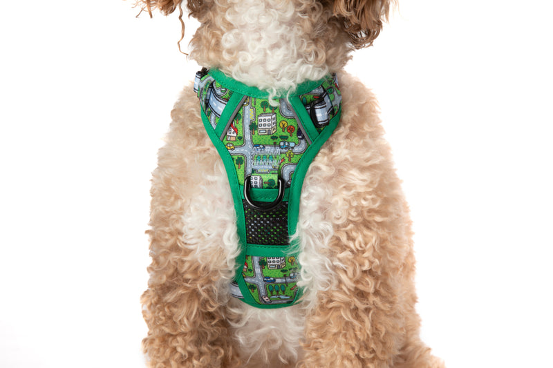 THE ALL-ROUNDER DOG HARNESS: Traffic Town