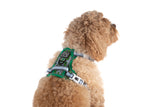 THE ALL-ROUNDER DOG HARNESS: Traffic Town