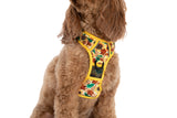 THE ALL-ROUNDER DOG HARNESS: Winter Blooms