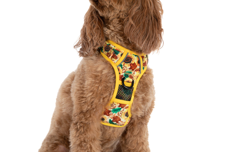 THE ALL-ROUNDER DOG HARNESS: Winter Blooms