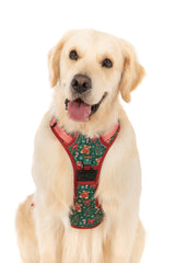 THE ALL-ROUNDER DOG HARNESS: A Beary Merry Christmas