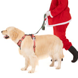 THE ALL-ROUNDER DOG HARNESS: A Beary Merry Christmas