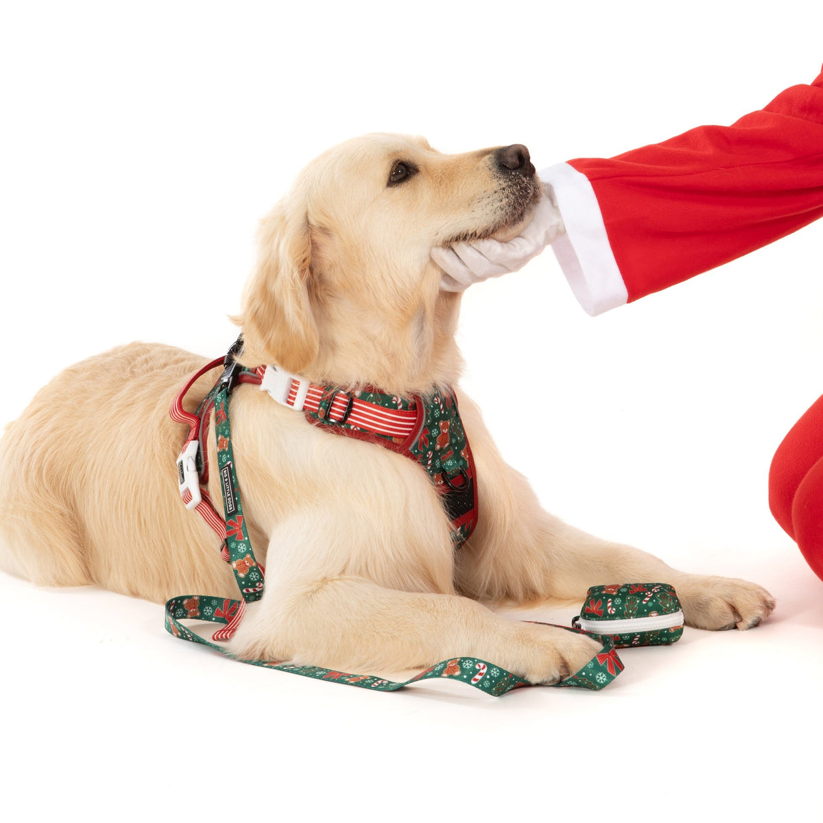 THE ALL-ROUNDER DOG HARNESS: A Beary Merry Christmas