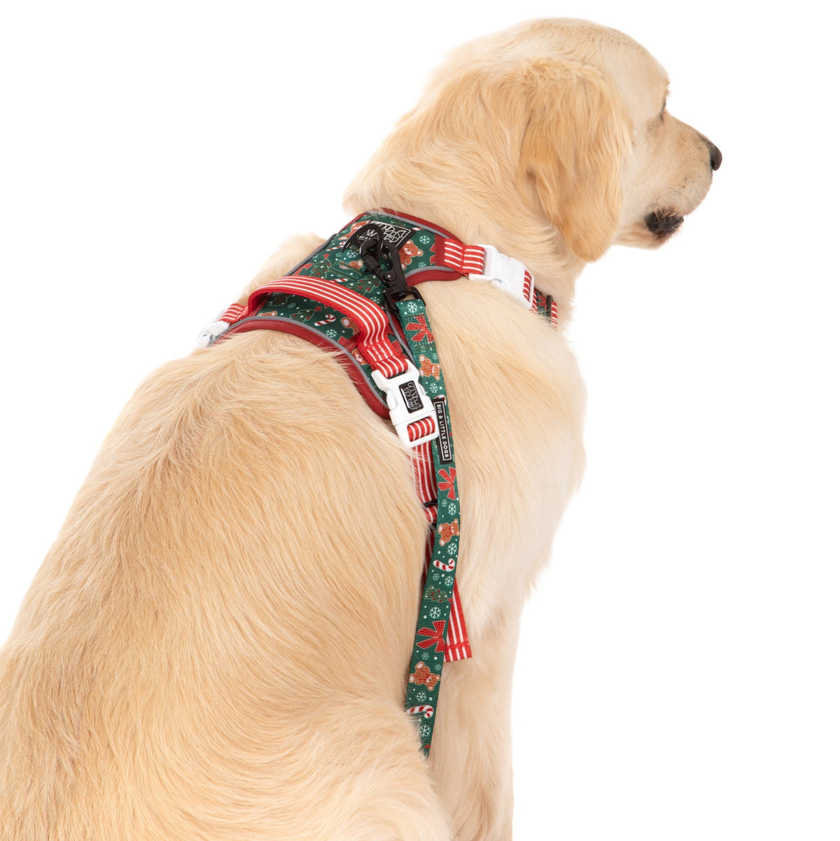 THE ALL-ROUNDER DOG HARNESS: A Beary Merry Christmas