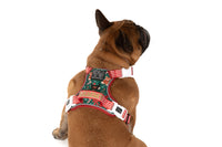 THE ALL-ROUNDER DOG HARNESS: A Beary Merry Christmas