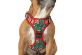 THE ALL-ROUNDER DOG HARNESS: A Beary Merry Christmas