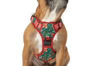 THE ALL-ROUNDER DOG HARNESS: A Beary Merry Christmas