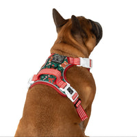 THE ALL-ROUNDER DOG HARNESS: A Beary Merry Christmas