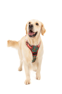 THE ALL-ROUNDER DOG HARNESS: A Beary Merry Christmas