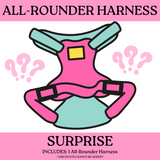 SURPRISE: All-Rounder Harness (NON-RETURNABLE)