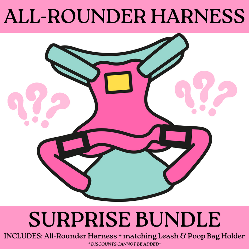 SURPRISE BUNDLE: All-Rounder Harness + Leash + Poop Bag Holder (NON-RETURNABLE)