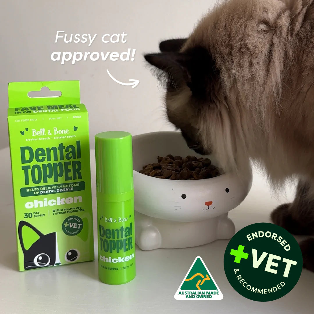 CAT MEAL TOPPER: Bell & Bone Cat Dental Topper - Chicken 30ml