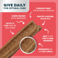 DOG TREATS | Bell & Bone: Puppy Dental Stick - Beef & Coconut