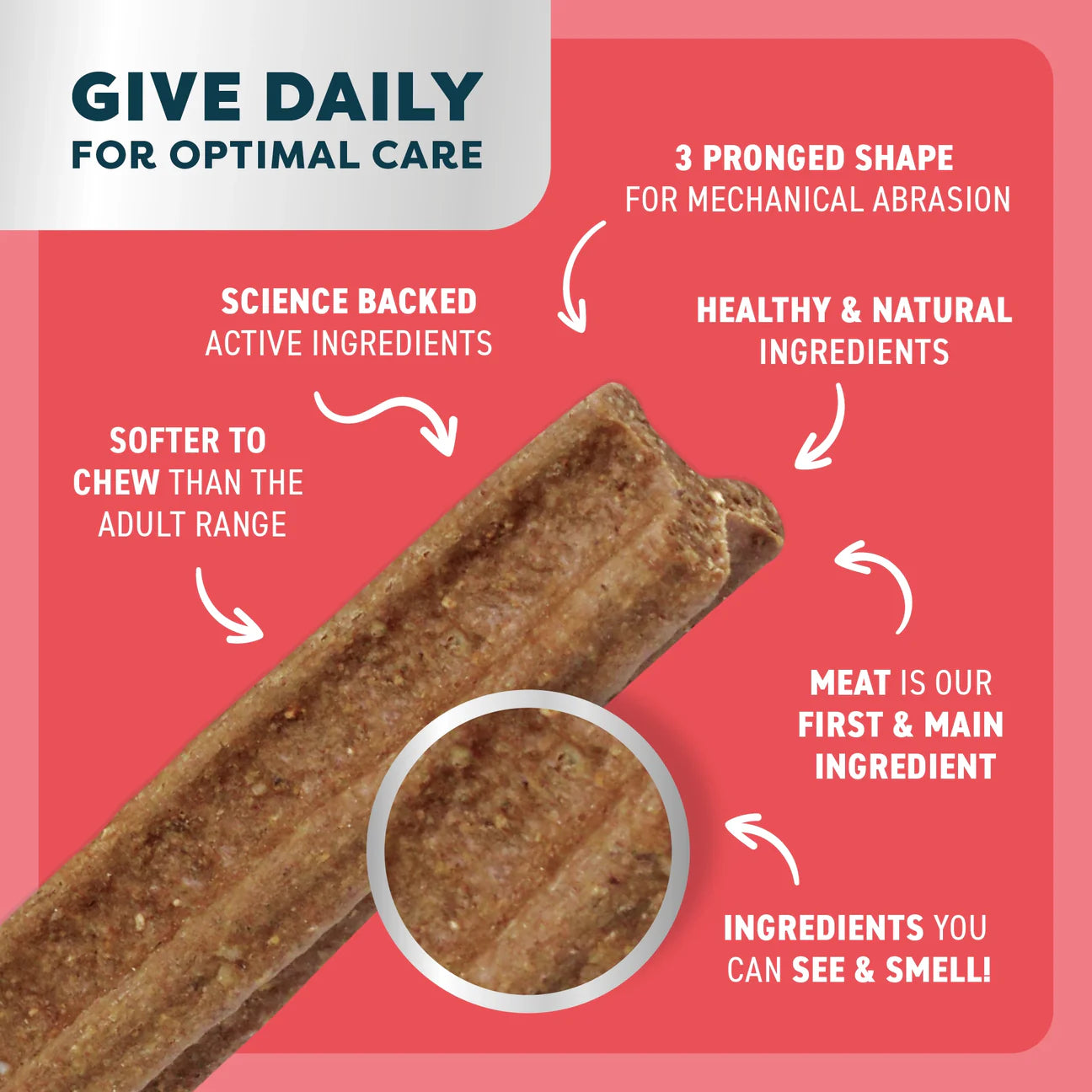 DOG TREATS | Bell & Bone: Puppy Dental Stick - Beef & Coconut