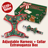 CHRISTMAS EXTRAVAGANZA BOX: "A Beary Merry Christmas" (Adjustable Harness & Collar)