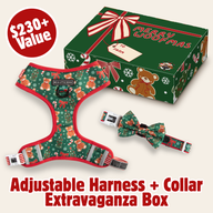 CHRISTMAS EXTRAVAGANZA BOX: "A Beary Merry Christmas" (Adjustable Harness & Collar)