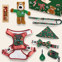CHRISTMAS EXTRAVAGANZA BOX: "A Beary Merry Christmas" (All-Rounder Harness & Collar)