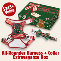 CHRISTMAS EXTRAVAGANZA BOX: "A Beary Merry Christmas" (All-Rounder Harness & Collar)