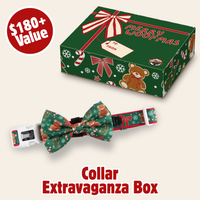 CHRISTMAS EXTRAVAGANZA BOX: "A Beary Merry Christmas" (Collar Only)