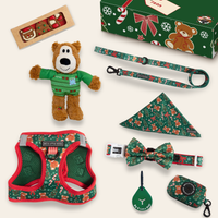 CHRISTMAS EXTRAVAGANZA BOX: "A Beary Merry Christmas" (Step-In Harness & Collar)