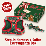 CHRISTMAS EXTRAVAGANZA BOX: "A Beary Merry Christmas" (Step-In Harness & Collar)
