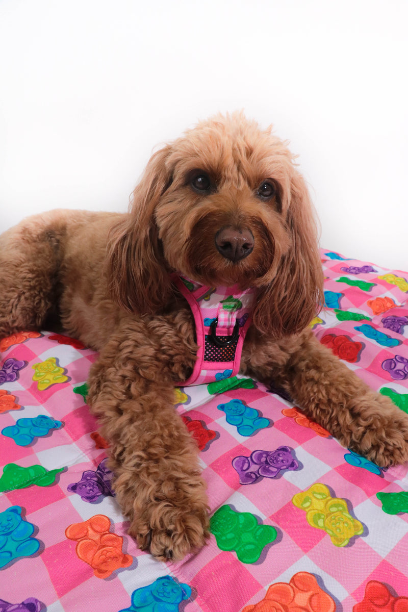 ON-THE-GO PET MAT: Beary Sweet/Rainbow Gingham (NEW!)