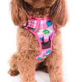 THE ALL-ROUNDER DOG HARNESS: Beary Sweet