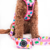 DOG POOP BAG HOLDER: Beary Sweet (NEW!)