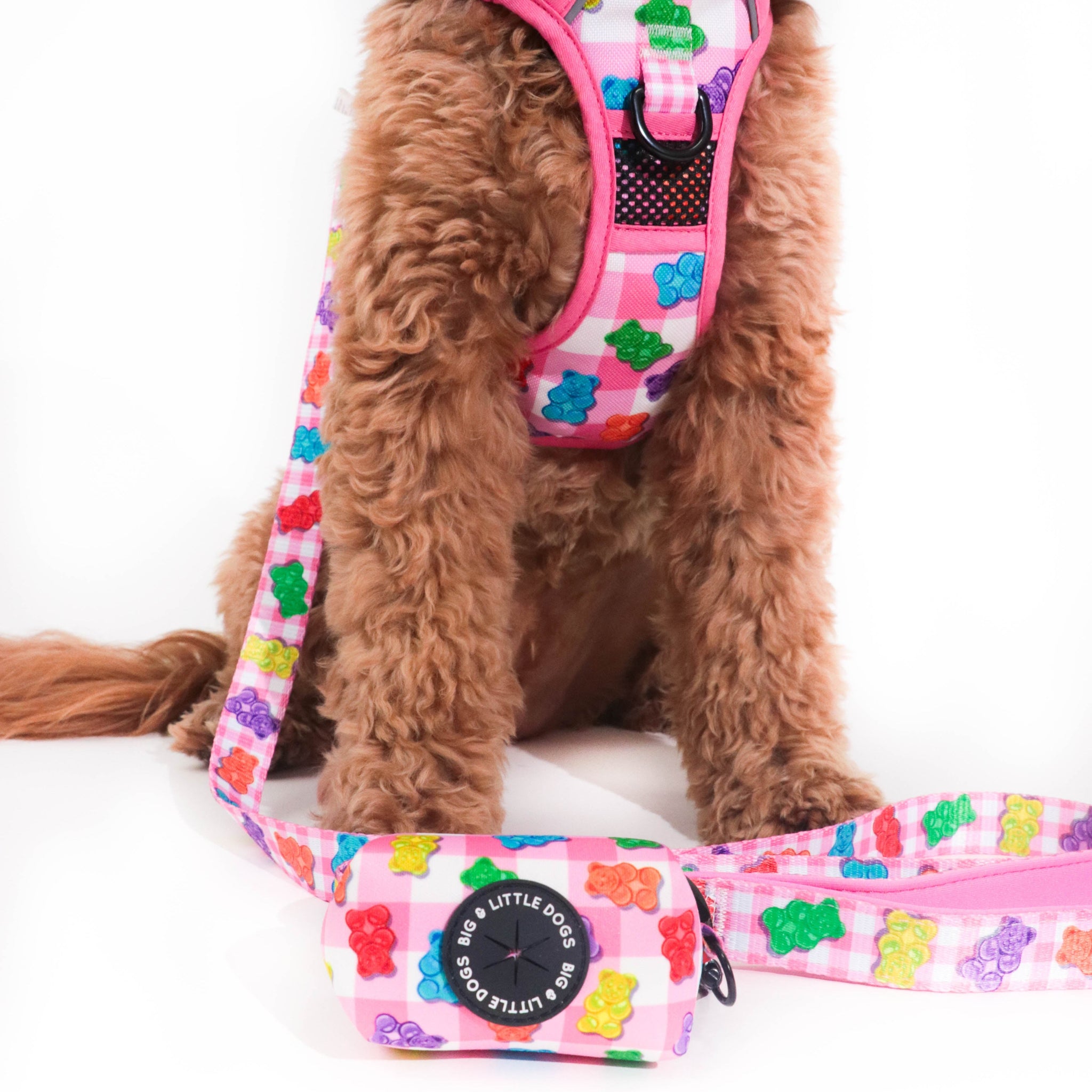 DOG POOP BAG HOLDER: Beary Sweet