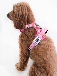 THE ALL-ROUNDER DOG HARNESS: Beary Sweet