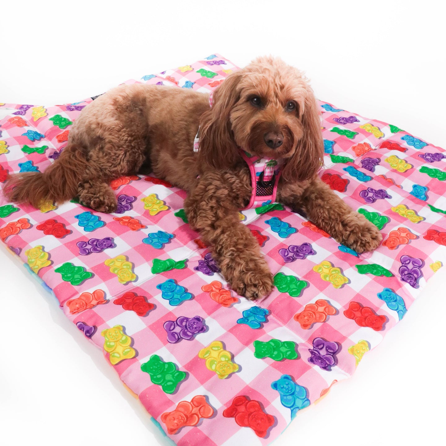 ON-THE-GO PET MAT: Beary Sweet (NEW!)