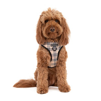 ADJUSTABLE DOG HARNESS: Nova Plaid