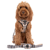 ADJUSTABLE DOG HARNESS: Nova Plaid