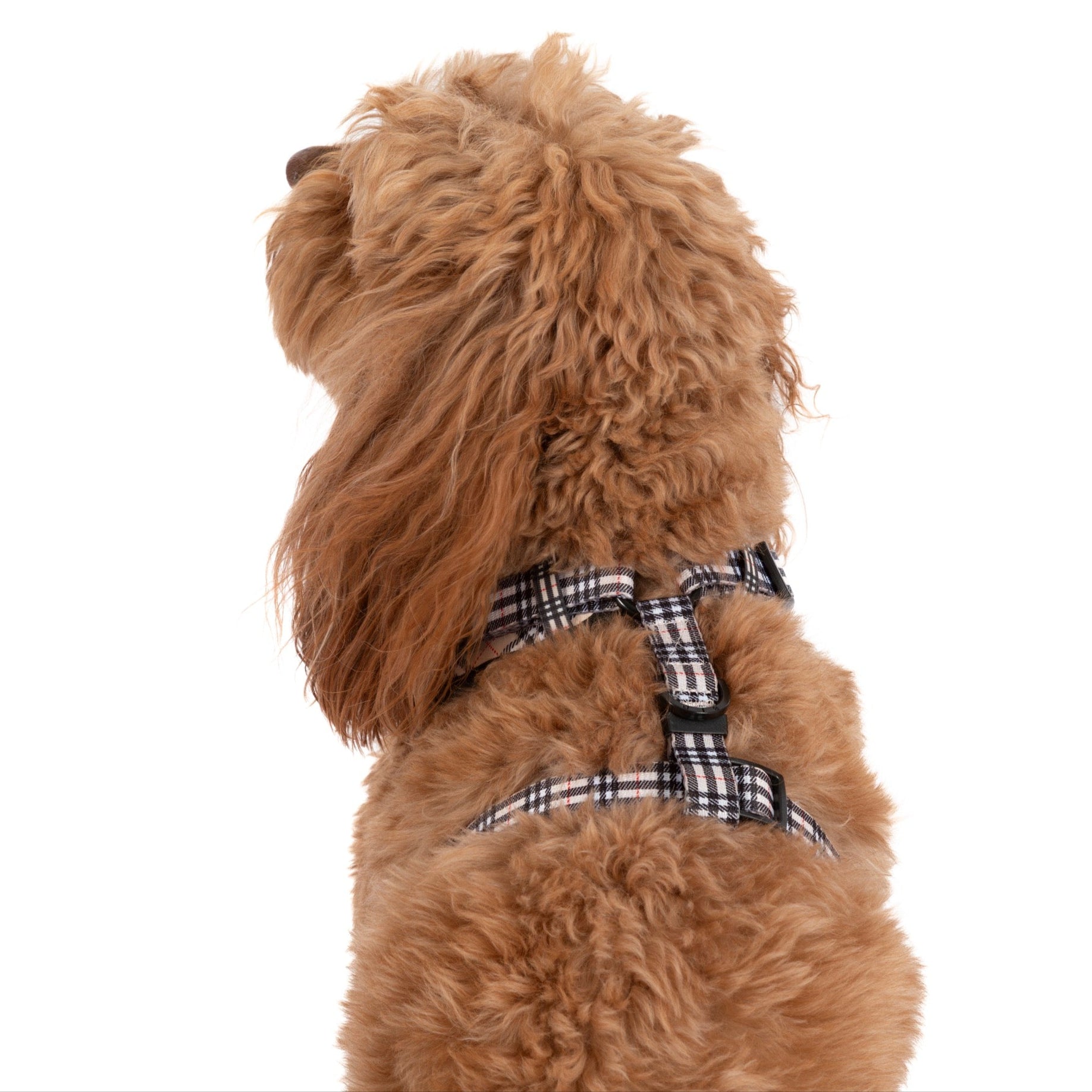 ADJUSTABLE DOG HARNESS: Nova Plaid (NEW!)