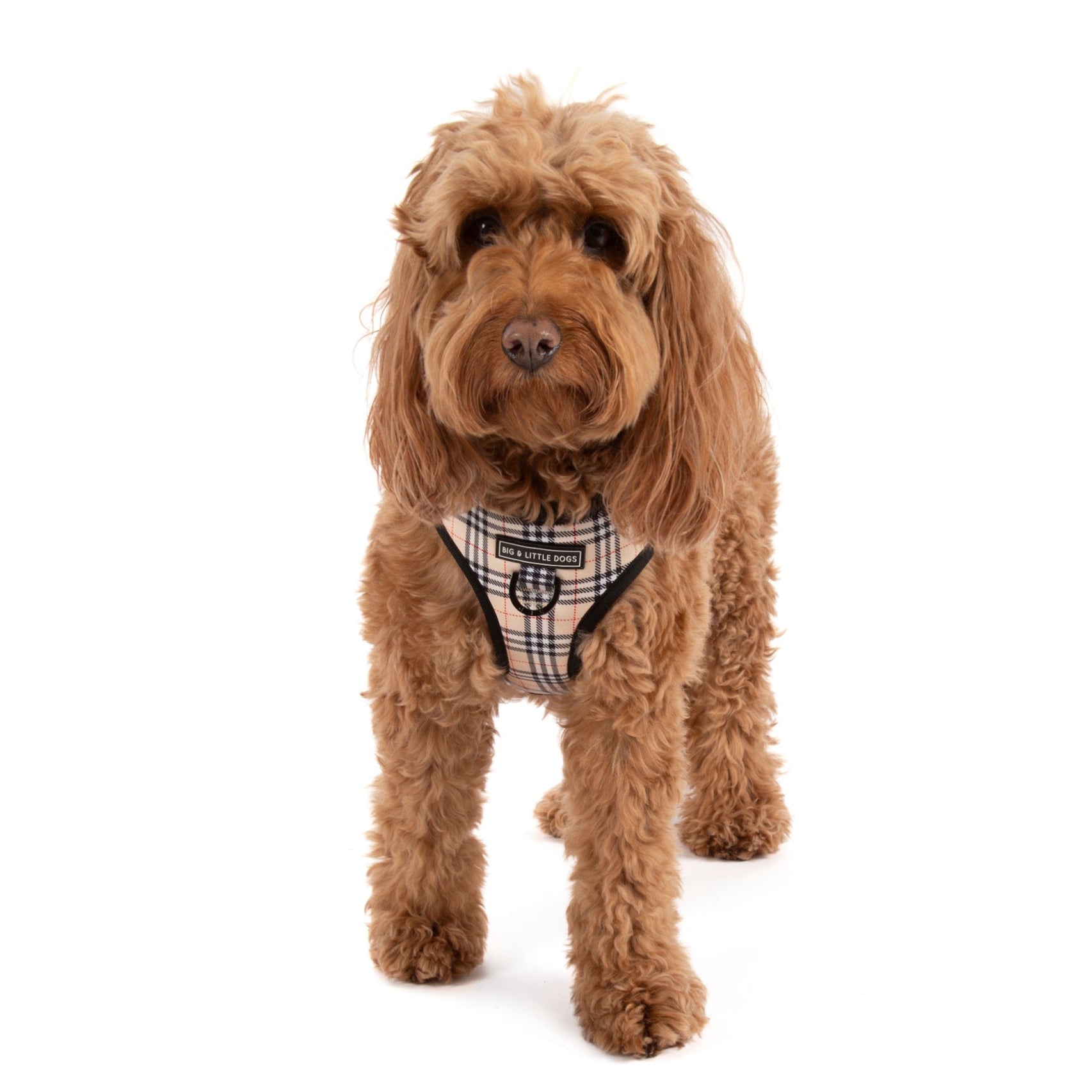 ADJUSTABLE DOG HARNESS: Nova Plaid