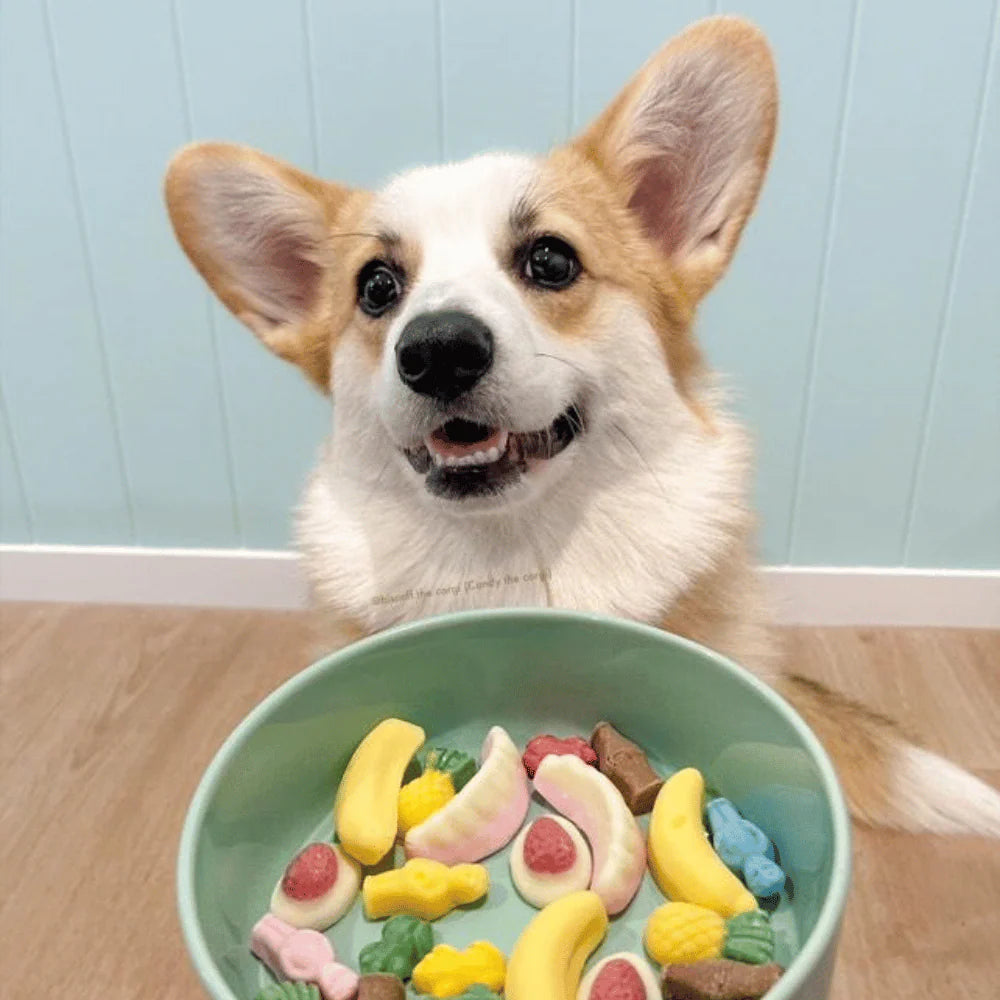 DOG TREATS | Doggy Topia - Pawty Mix Dog Lollies