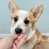 DOG TREATS | Doggy Topia - Strawberries & Cream Dog Lollies