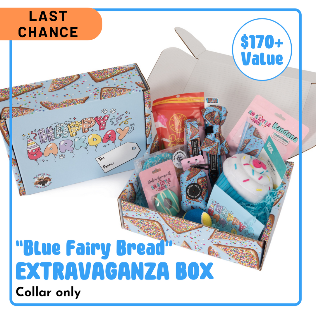 BIRTHDAY EXTRAVAGANZA BOX: "Blue Fairy Bread" Collar