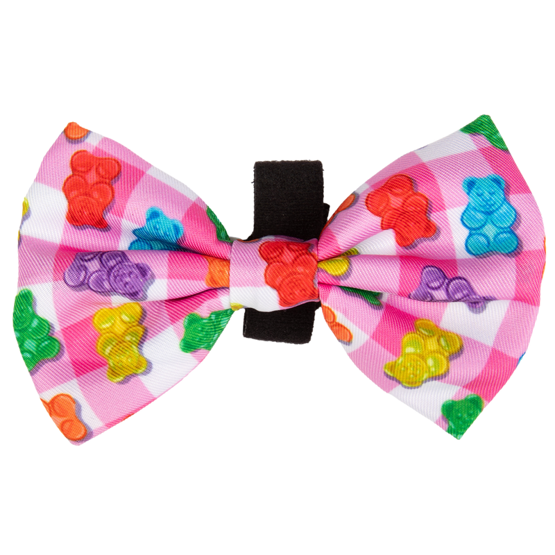 DOG COLLAR (+ BOW TIE option): Beary Sweet (NEW!)