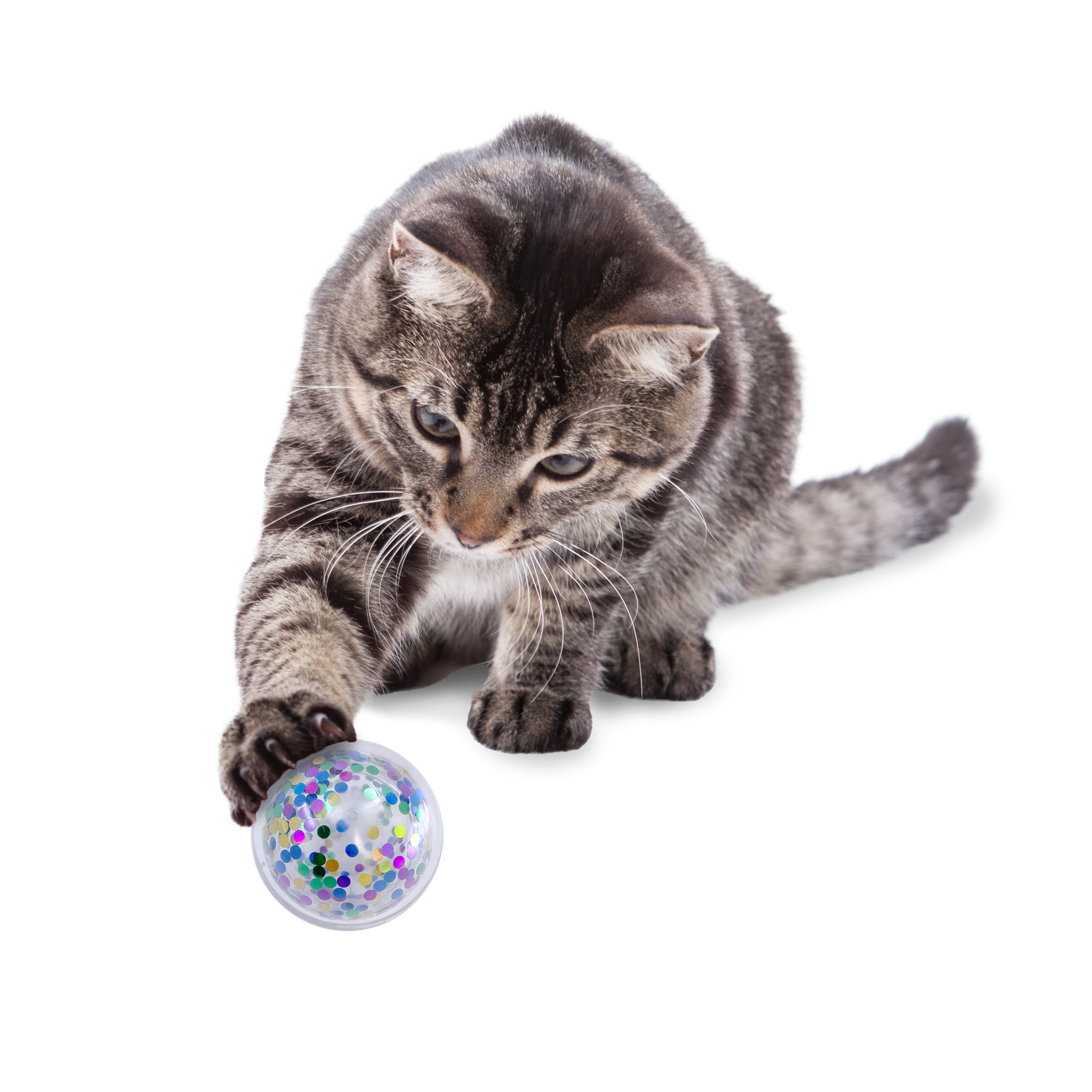 KONG (CAT): Active Confetti Ball