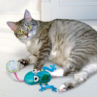 KONG (CAT): Flingaroo Frog