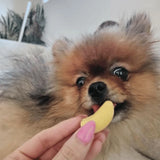 DOG TREATS | Doggy Topia - Banana Dog Lollies