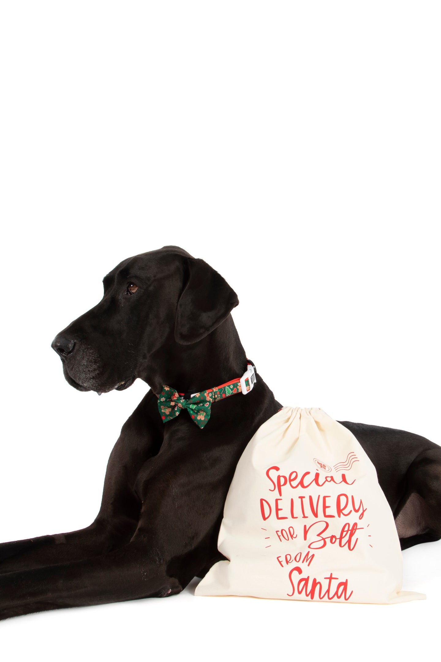 CHRISTMAS: Special Delivery Santa Sack (with your Dog's Name!)