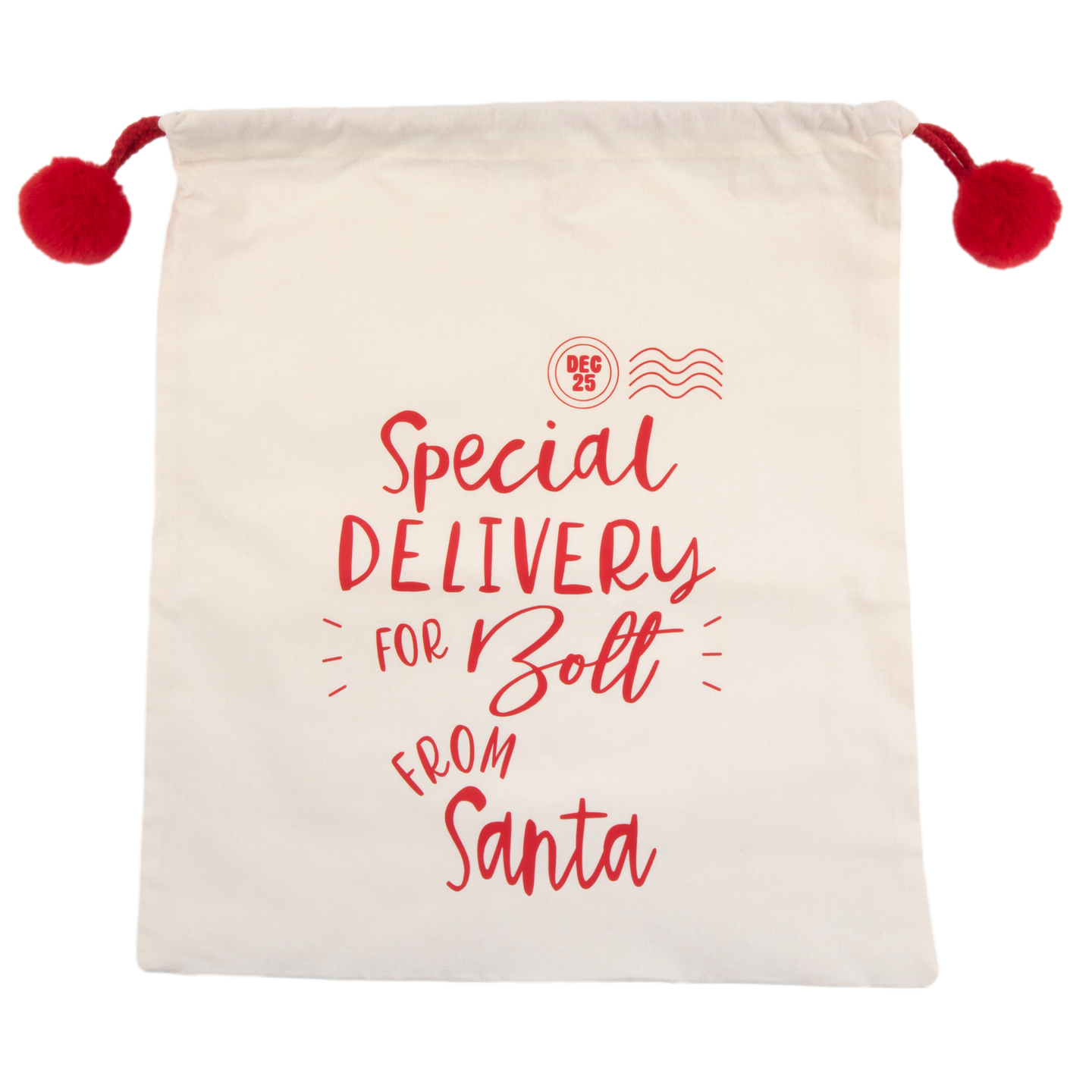 CHRISTMAS: Special Delivery Santa Sack (with your Dog's Name!)
