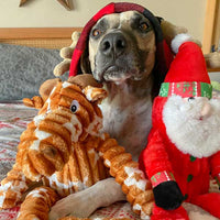 Patchworkpet: Muttley Santa (NEW)