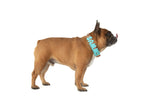 Chunky Charms: Aqua