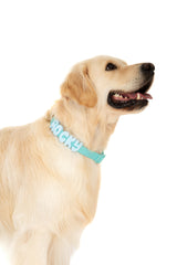 Chunky Charms: Blue