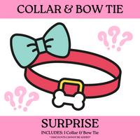 SURPRISE: Collar & Bow Tie (NON-RETURNABLE)