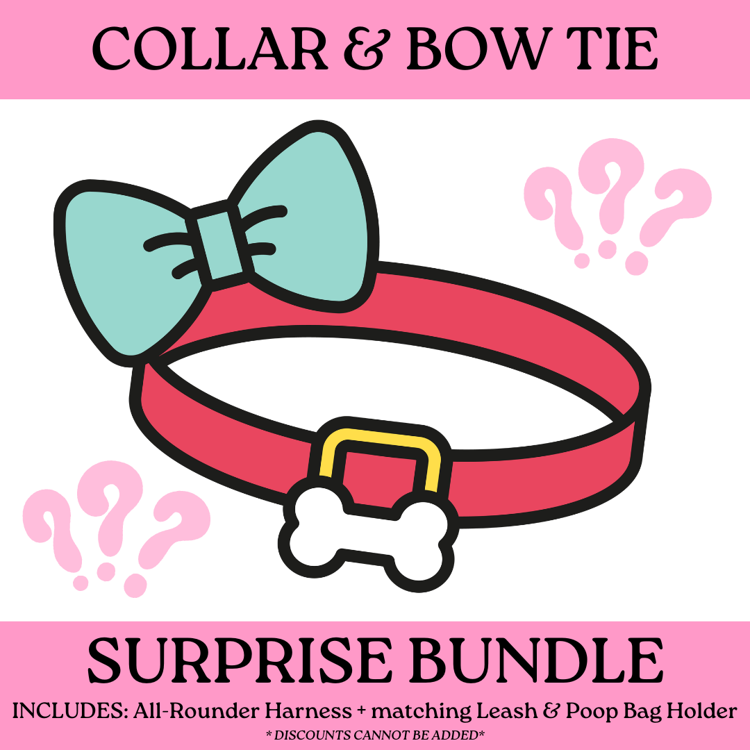 SURPRISE BUNDLE: Collar + Leash + Poop Bag Holder (NON-RETURNABLE)