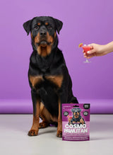 DOG TREATS L'Barkery: Cosmopawlitian